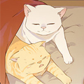 不争气的家养猫 不争气的家养猫